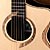 thumbnail: Rosetta & cutaway